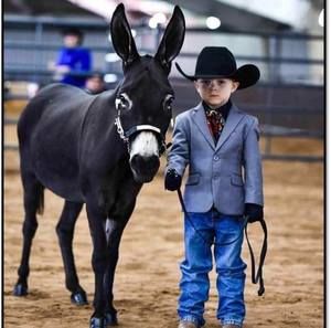 Meet your Posher, Carmelo